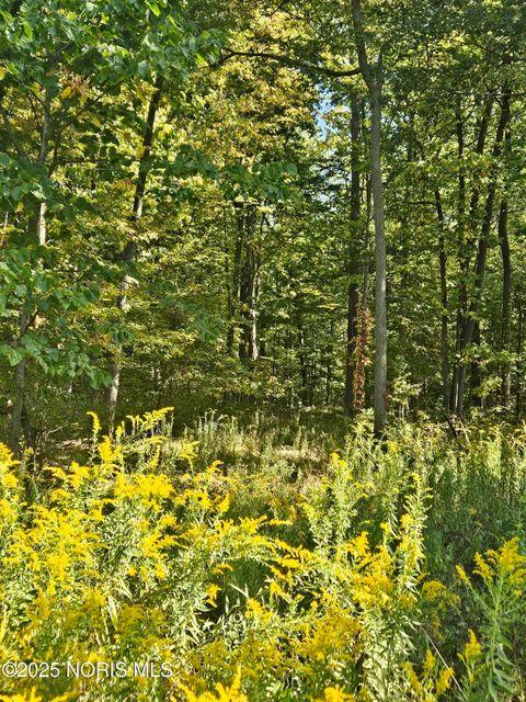 Tiny photo for County Road 18 #Lot 3, Bryan, OH 43506 (MLS # 10000720)