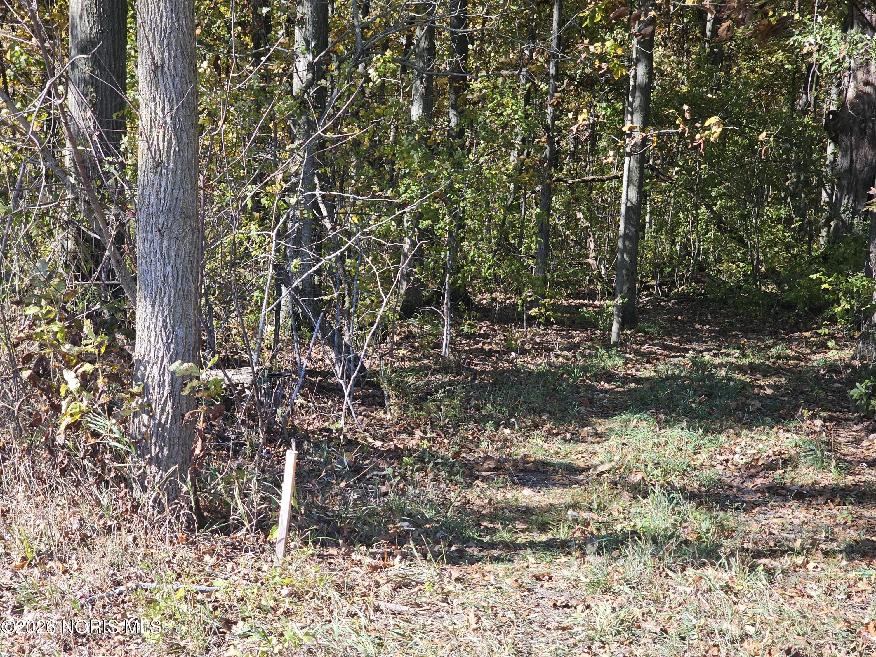 0 S Mud Creek Road 0260598307820000