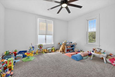 Tiny photo for 317 S Main Street, North Baltimore, OH 45872 (MLS # 10006760)