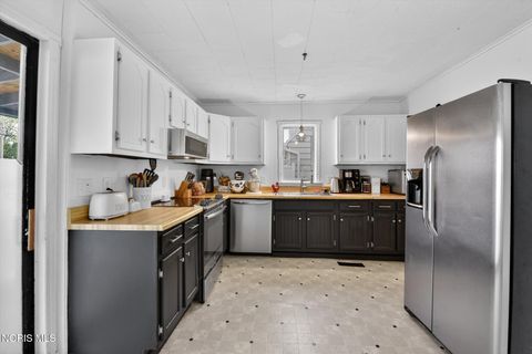 Tiny photo for 317 S Main Street, North Baltimore, OH 45872 (MLS # 10006760)