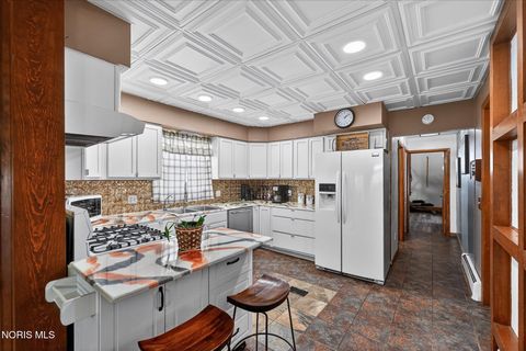 Tiny photo for 4427 County Road 19, Wauseon, OH 43567 (MLS # 10004631)