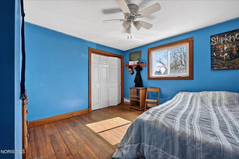 Tiny photo for 4427 County Road 19, Wauseon, OH 43567 (MLS # 10004631)