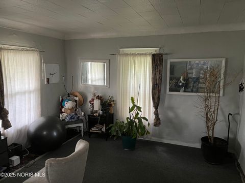 Tiny photo for 1408 Roosevelt Avenue, Toledo, OH 43607 (MLS # 10001693)