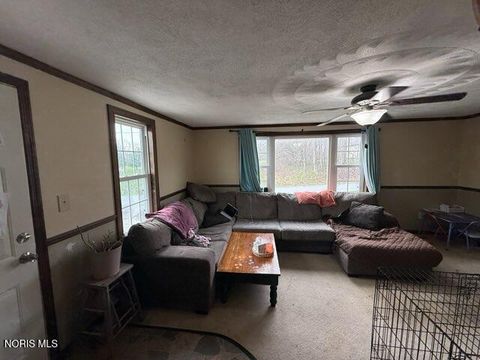 Tiny photo for 98 Adams Street, McCutchenville, OH 44844 (MLS # 10005173)