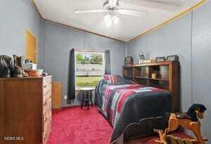 Tiny photo for 10801 County N Road, Lyons, OH 43533 (MLS # 10012669)