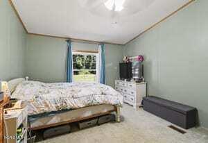 Tiny photo for 10801 County N Road, Lyons, OH 43533 (MLS # 10012669)