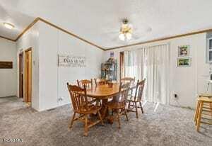 Tiny photo for 10801 County N Road, Lyons, OH 43533 (MLS # 10012669)