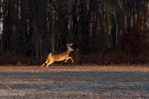 Tiny photo for 6330 Co Rd 4, Swanton, OH 43558 (MLS # 10001706)