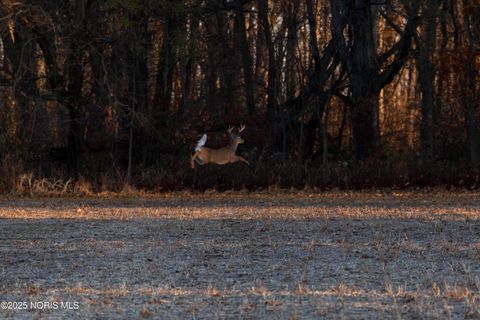 Tiny photo for 6330 Co Rd 4, Swanton, OH 43558 (MLS # 10001706)