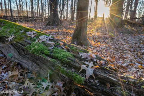 Tiny photo for 6330 Co Rd 4, Swanton, OH 43558 (MLS # 10001706)