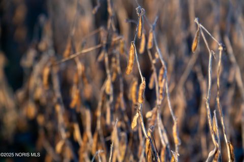 Tiny photo for 6330 Co Rd 4, Swanton, OH 43558 (MLS # 10001706)