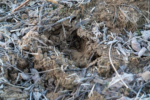 Tiny photo for 6330 Co Rd 4, Swanton, OH 43558 (MLS # 10001706)