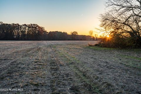 Tiny photo for 6330 Co Rd 4, Swanton, OH 43558 (MLS # 10001706)