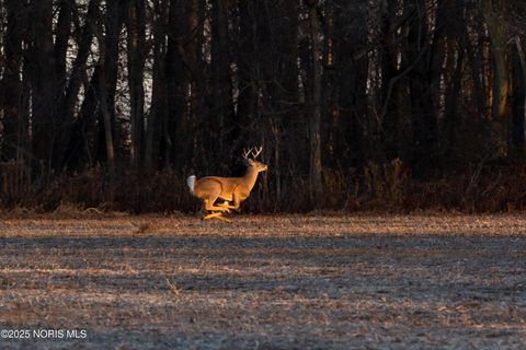 Tiny photo for 6330 Co Rd 4, Swanton, OH 43558 (MLS # 10001706)