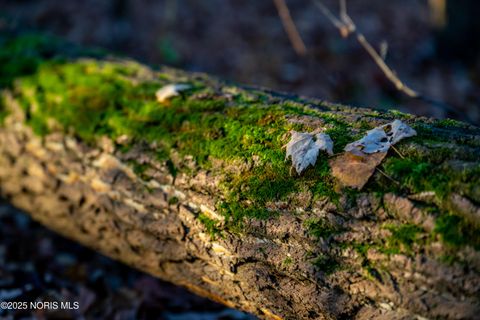 Tiny photo for 6330 Co Rd 4, Swanton, OH 43558 (MLS # 10001706)