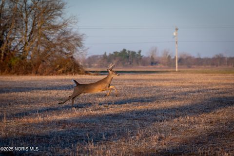 Tiny photo for 6330 Co Rd 4, Swanton, OH 43558 (MLS # 10001706)
