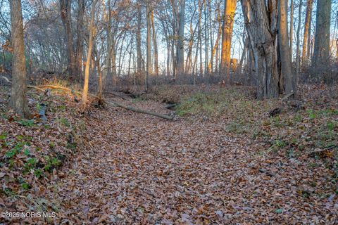 Tiny photo for 6330 Co Rd 4, Swanton, OH 43558 (MLS # 10001706)