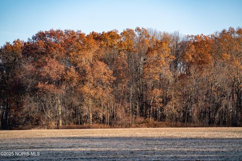 Tiny photo for 6330 Co Rd 4, Swanton, OH 43558 (MLS # 10001706)