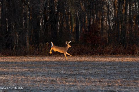 Tiny photo for 6330 Co Rd 4, Swanton, OH 43558 (MLS # 10001706)