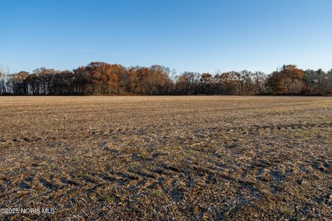 Tiny photo for 6330 Co Rd 4, Swanton, OH 43558 (MLS # 10001706)