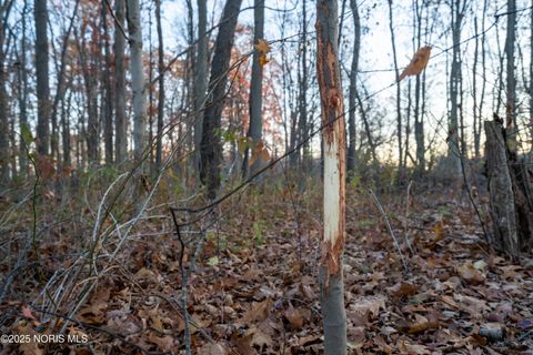 Tiny photo for 6330 Co Rd 4, Swanton, OH 43558 (MLS # 10001706)