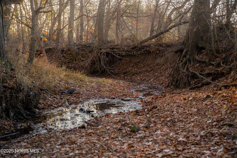 Tiny photo for 6330 Co Rd 4, Swanton, OH 43558 (MLS # 10001706)