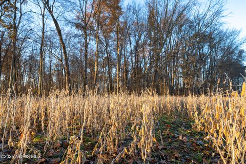 Tiny photo for 6330 Co Rd 4, Swanton, OH 43558 (MLS # 10001706)