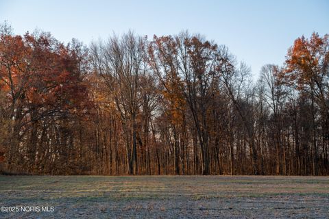 Tiny photo for 6330 Co Rd 4, Swanton, OH 43558 (MLS # 10001706)