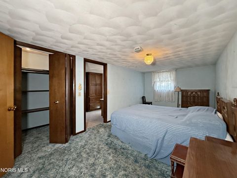 Tiny photo for 3392 Rd 6, Leipsic, OH 45856 (MLS # 10004557)