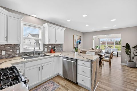 Tiny photo for 8424 Birchwood Lane, Northwood, OH 43619 (MLS # 10005690)