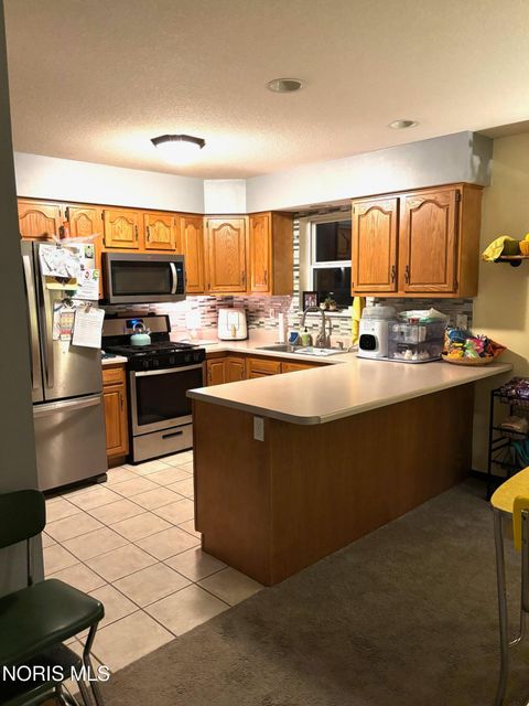 Tiny photo for 200 Tyler Lane, Stryker, OH 43557 (MLS # 10004375)