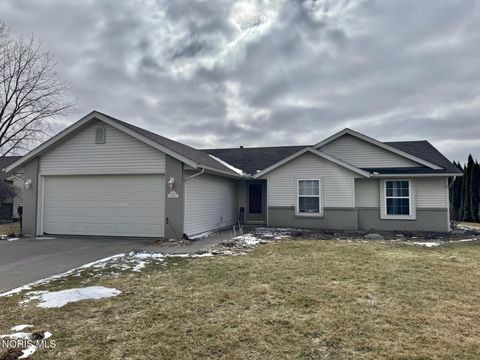 Photo of 200 Tyler Lane, Stryker, OH 43557 (MLS # 10004375)