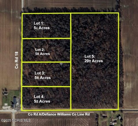 Tiny photo for 18 Road #Lot 1, Bryan, OH 43506 (MLS # 10000713)