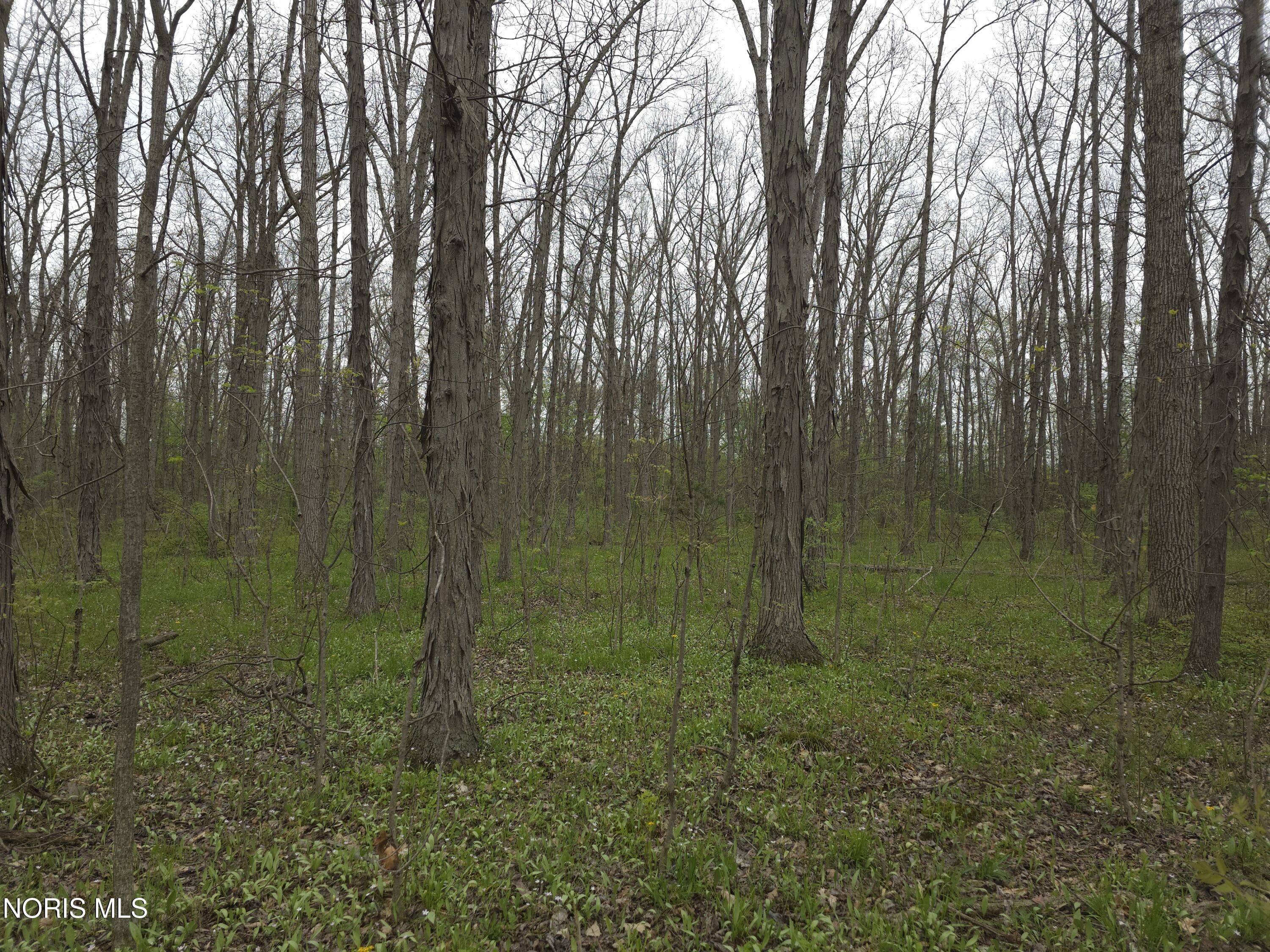 21549 Bowman Road