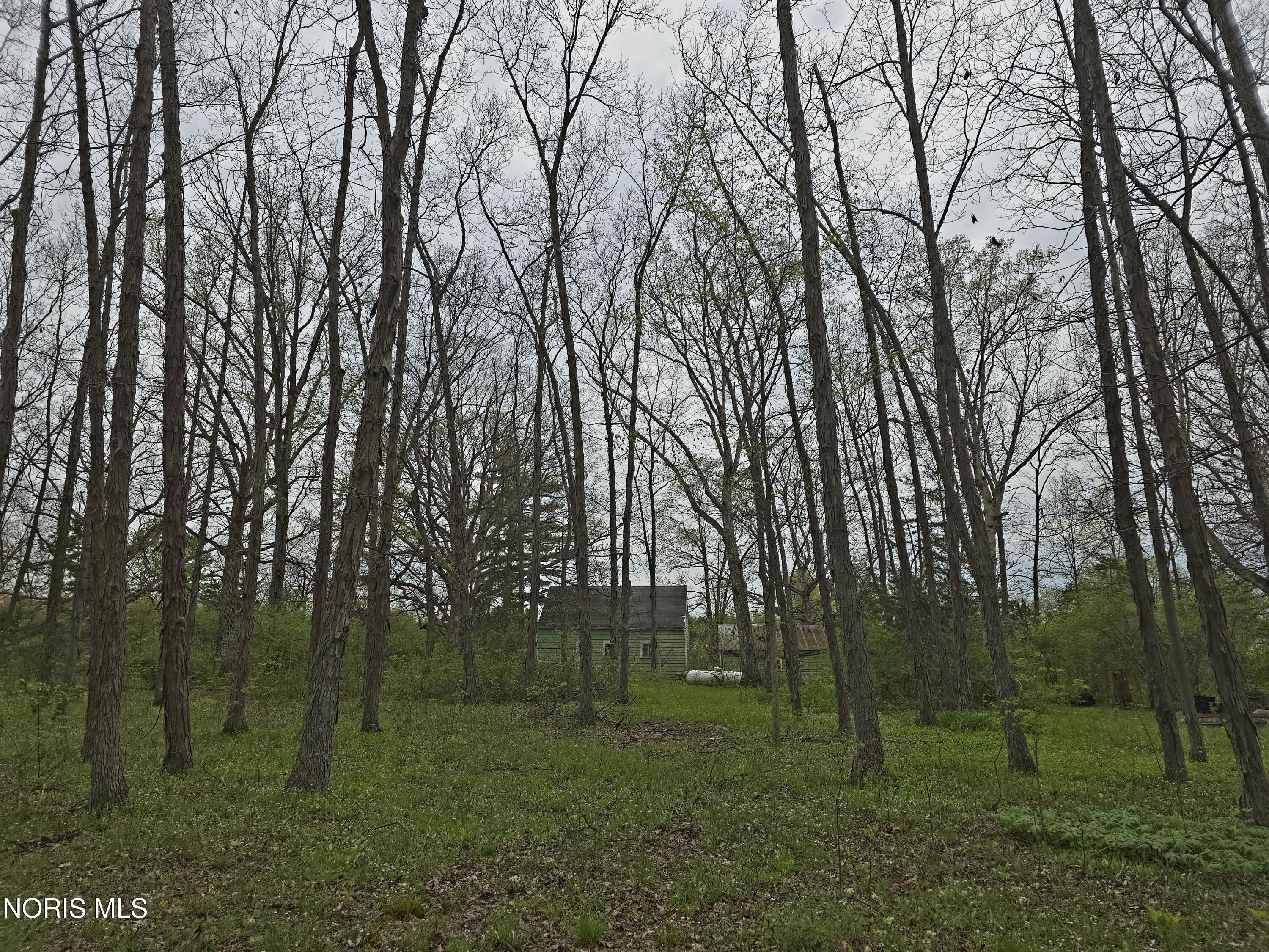 21549 Bowman Road