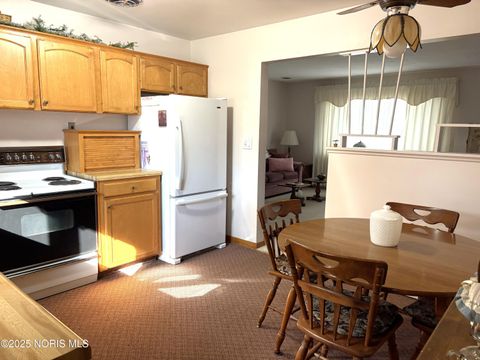 Tiny photo for 603 Alma Drive, Fostoria, OH 44830 (MLS # 10000712)