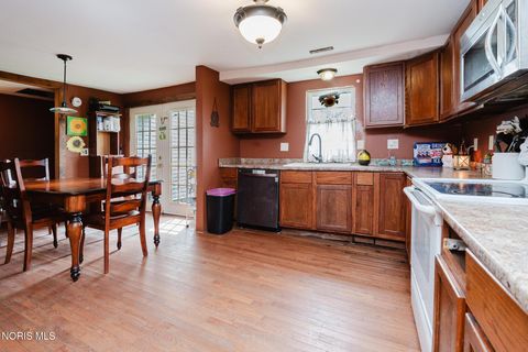 Tiny photo for 449 Frederick Street, Carey, OH 43316 (MLS # 10007610)