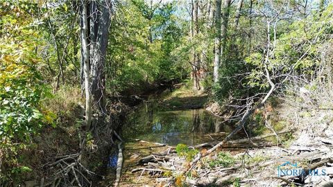 Tiny photo for 00 State Route 249, Ney, OH 43549 (MLS # 10001343)