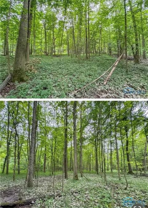 Tiny photo for 00 State Route 249, Ney, OH 43549 (MLS # 10001343)