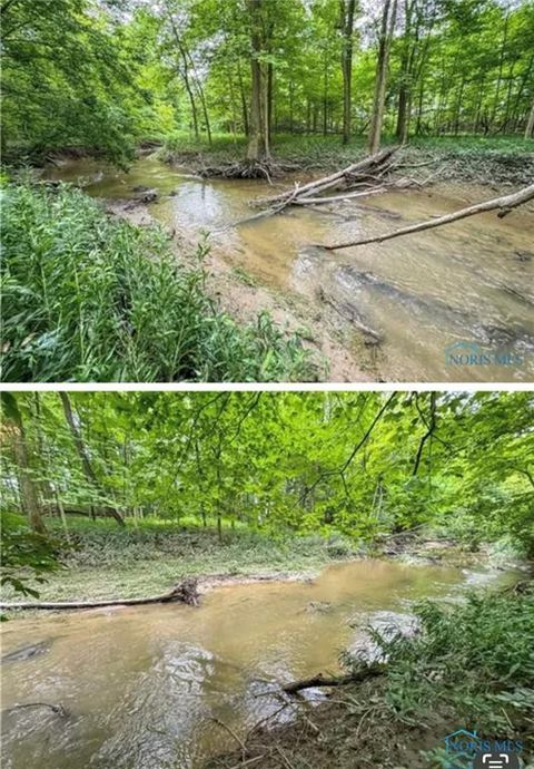 Tiny photo for 00 State Route 249, Ney, OH 43549 (MLS # 10001343)