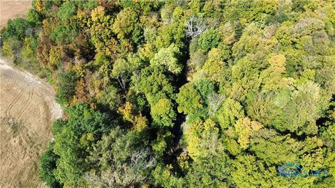 Tiny photo for 00 State Route 249, Ney, OH 43549 (MLS # 10001343)