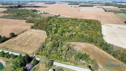 Tiny photo for 00 State Route 249, Ney, OH 43549 (MLS # 10001343)