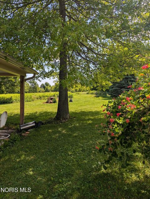 Tiny photo for 9271 Township Highway 136, Nevada, OH 44849 (MLS # 10010651)