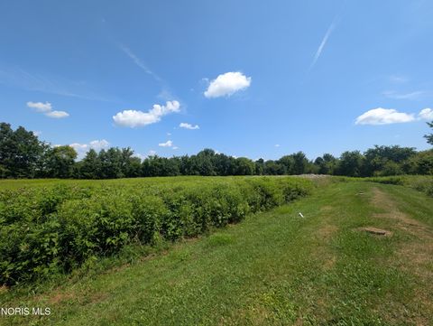 Tiny photo for 9271 Township Highway 136, Nevada, OH 44849 (MLS # 10010651)