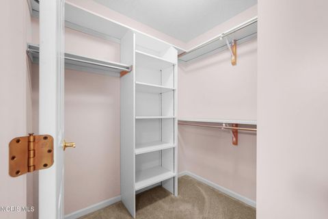 Tiny photo for 6708 Buck Creek Dr Dr, Maumee, OH 43537 (MLS # 10004860)