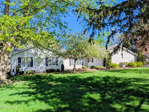 Photo of 916 Monterey Court, Archbold, OH 43502 (MLS # 10006619)