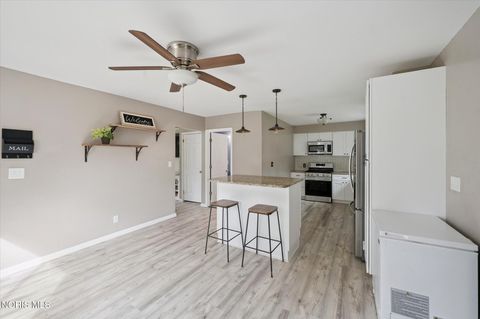 Tiny photo for 127 Bierley Avenue, Pemberville, OH 43450 (MLS # 10004125)