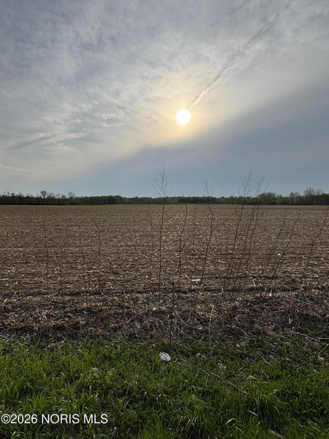 Photo of 0 Weckerly Road, Monclova, OH 43542 (MLS # 10003905)