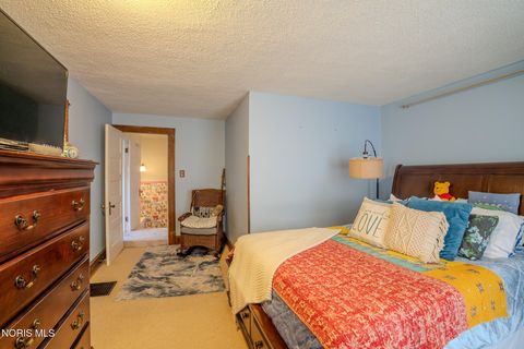 Tiny photo for 150 N Shoop Avenue, Wauseon, OH 43567 (MLS # 10006043)