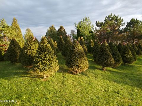 Tiny photo for 14121 Township Rd 213, Findlay, OH 45840 (MLS # 10005986)